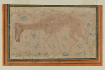 En utmärglad häst, från Mughal eller Deccan, mitten av 1600-talet (bläck & färgtvätt på papper) av Indian School