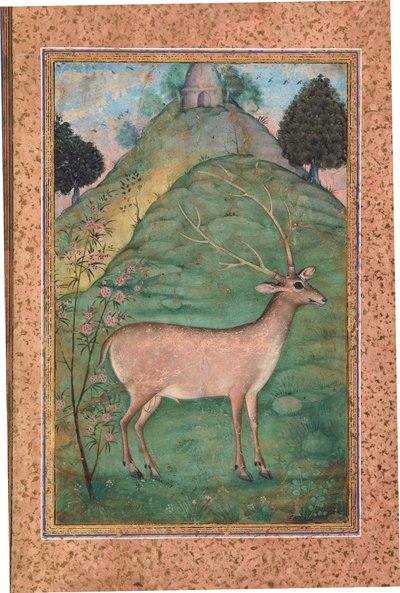 Buck in a Landscape, ca 1595 (ogenomskinlig wc & guld på papper) av Indian School