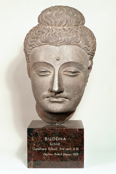 Huvud från en staty av Buddha, från Gandhara, nordvästra Indien (grå skiffer) av Indian School