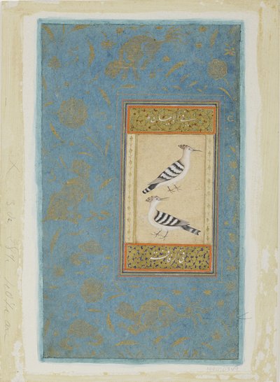 Hoopoes, ca 1590 (ogenomskinlig wc & guld på papper) av Indian School