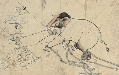 Isarda eller kotah förberedande teckning av tämjandet av en elefant, ca 1720 av Indian School