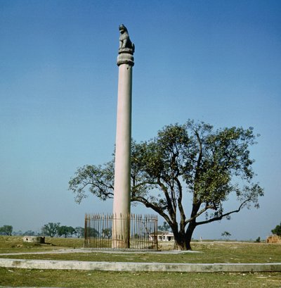 Kejsar Ashokas lejonpelare (ca 264-223 f.Kr.) av Indian School