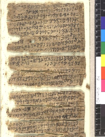 OMS OR 14915 f.5r Fragment av björkbarkmanuskript i Kharoṣṭi av Indian School