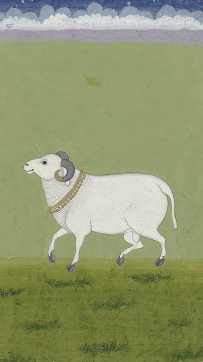 Ram med guldkrage, 1700-1799 av Indian School