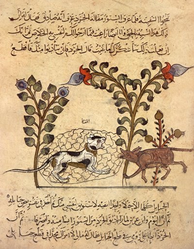 Katten och råttan, arabisk miniatyr från "Kalila va dimna" av Indian School