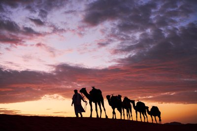 En kameleont leder sina kameler vid Erg Chebbi i öknen i Merzouga, Marocko, 2019 (foto) av Ira Block