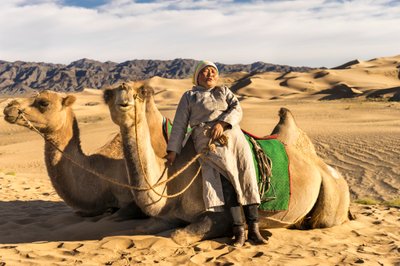 En kvinna tar en paus med kameler i södra Gobiöknen, Mongoliet, 2015 (foto) av Ira Block