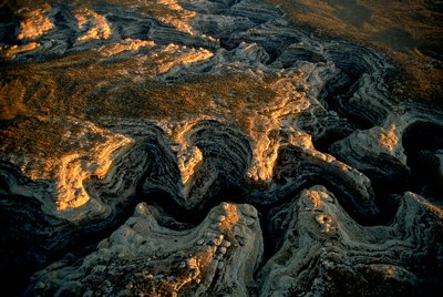 En flygbild över ett uttorkat område i Utah - Grand Gulch levererade vatten till massor av sma... av Ira Block