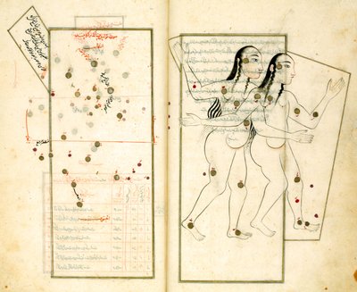 Stjärnbilden Tvillingarna från boken med fasta stjärnor av Al-Sufi av Iranian Master