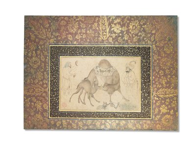 En kamel och hennes kalv, Safavid Iran, 1650-1700 av Iranian School