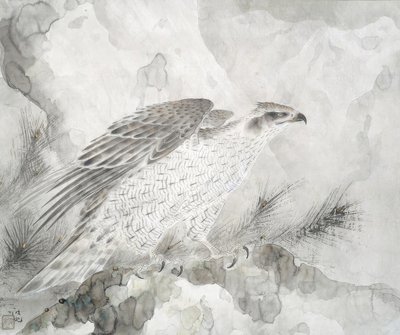 Hawk (Falke) av Irie Hako