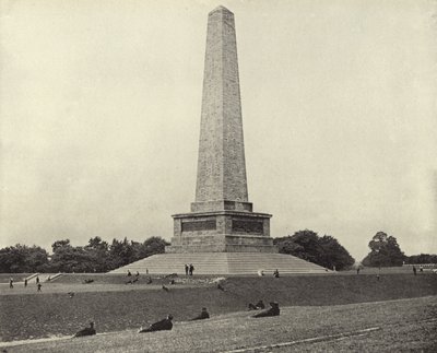 The Wellington Testimonial, Phoenix Park (s/v foto) av Irish Photographer