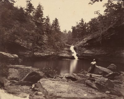 Lula Lake, Lookout Mountain, Georgia, 1864-1865. av Isaac H. Bonsall