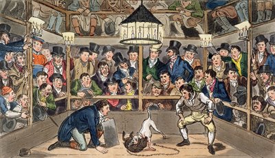 Tom och Jerry tjusar på fenomenet Monkey, Jacco Macacco, vid Westminster Pit, från "Life in London" av Pierce Egan av Isaac Robert & George (1792 1878) Cruikshank