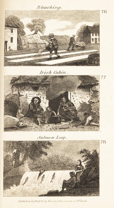 Handlar i Regency Ireland: blekning, irländsk stuga och laxsprång av Isaac Taylor