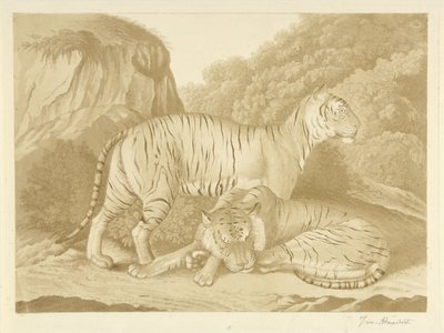 Två tigrar i ett landskap av Isaac van Haastert (signed by artist)