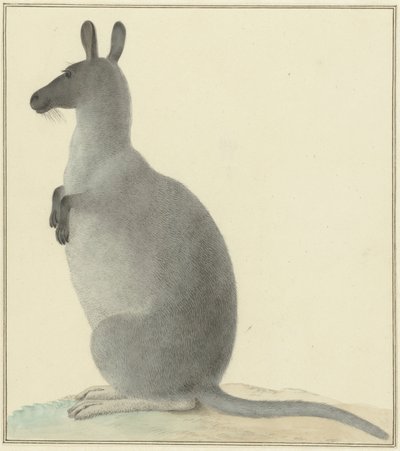 Känguru av Isaac van Haastert