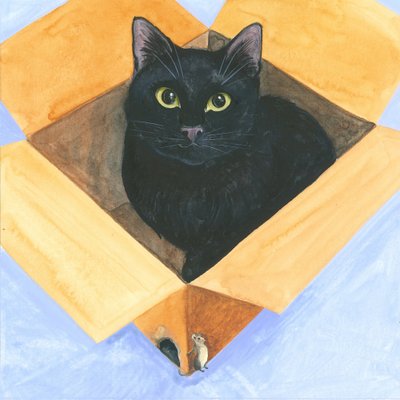 Katt i lådan av Isabelle Brent