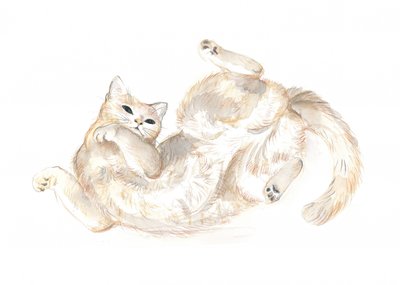Lekfull katt av Isabelle Brent