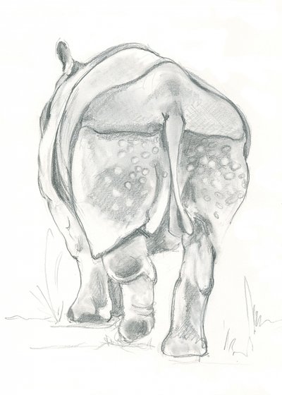 Noshörningens mjuka steg av Isabelle Brent
