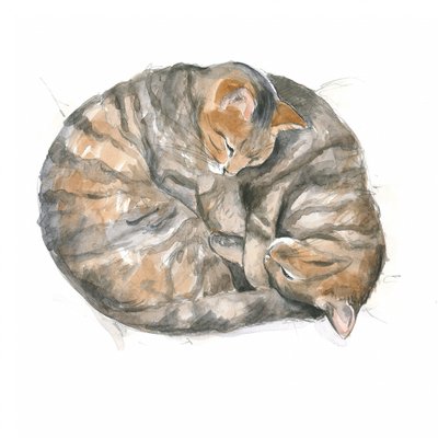 Runda katter av Isabelle Brent