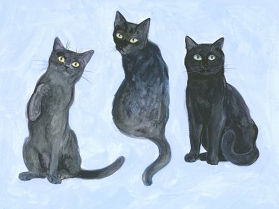 Studie av tre katter av Isabelle Brent