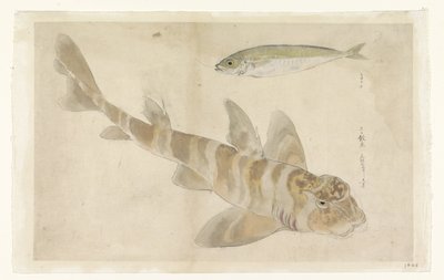 Två fiskar: gurna (?) och sill av Ishikawa Kazan