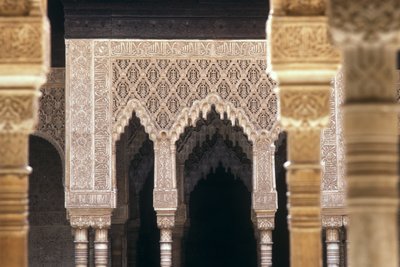 Detalj av bågar i Lions Court (foto) av Islamic School