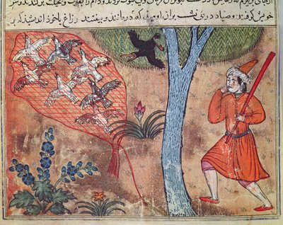 Hunting Birds, från 