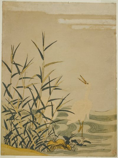 Egrets i vassen av Isoda Koryusai
