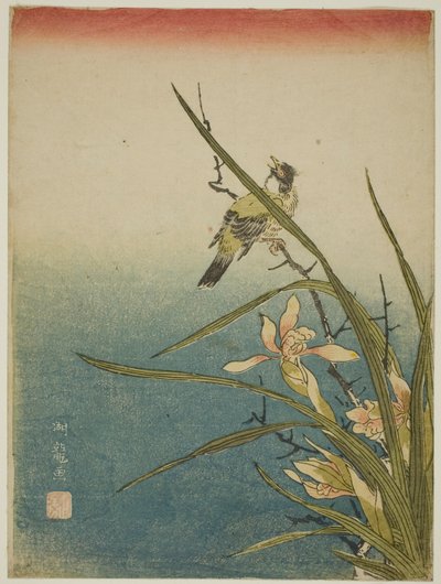 Orkidé och fågel av Isoda Koryusai