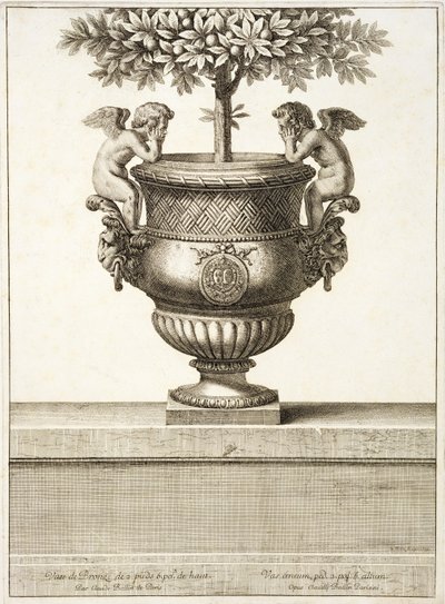 Bronsurnor som används för citrusträd, illustration från 