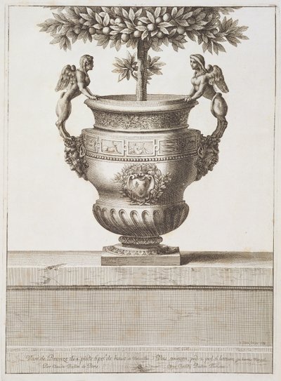 Bronsurnor som används för citrusträd, illustration från 