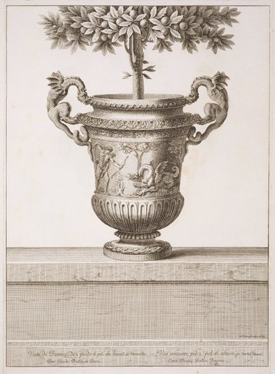 Bronsurnor som används för citrusträd, illustration från 