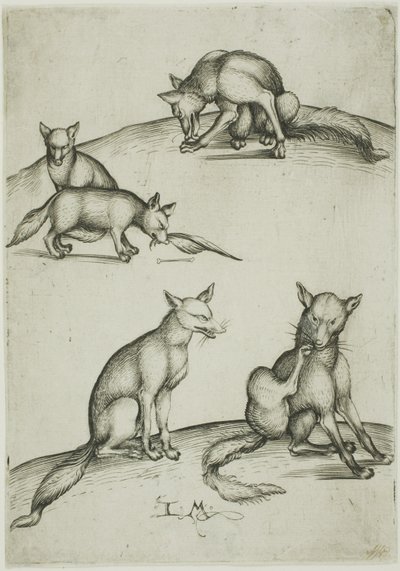 De fem rävarna av Israhel van Meckenem the younger