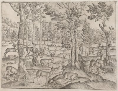 Rådjur i skogen av Italian 16th Century