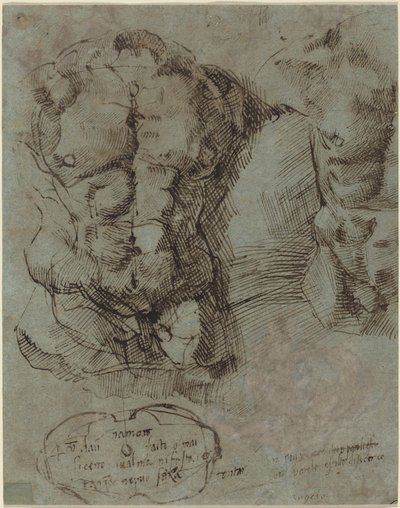 Studier av en manlig torso av Italian 16th Century