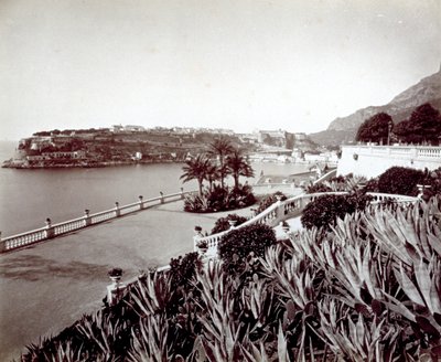 Panorama av Montecarlo. I förgrunden tät vegetation av agaveväxter och kaktus av Italian Photographer