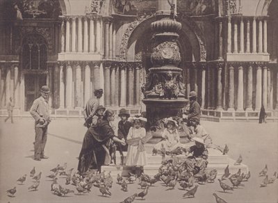 Piccioni (s/v foto) av Italian Photographer