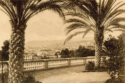 San Remo, From the Palm (s/v foto) av Italian Photographer