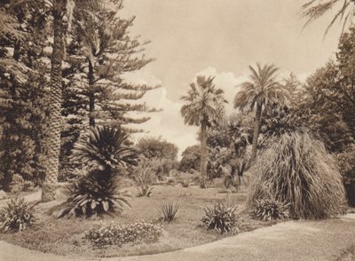 Sicilien / Sicilien: Villa Tasca, Palermo (svartvitt foto) av Italian Photographer