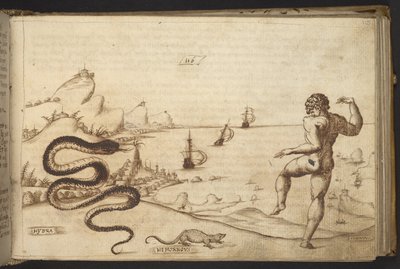 Lägg till. 82955, f.115 Orm (