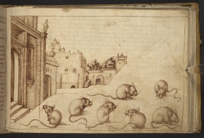 Lägg till. 82955, f.192   Möss (