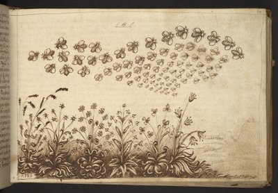 Lägg till. 82955, f.64 Bin (