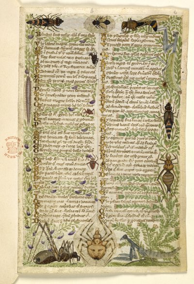 Lägg till MS 28841 f.006r Blad från en prosaavhandling om de sju lasterna och en vers om händelser från Siciliens historia på Fredrik II:s tid, av Cocharelli, ca 1330-40 av Italian School