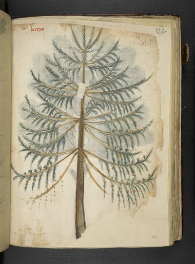 Lägg till MS 41623 f.111r 