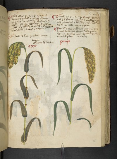 Lägg till MS 41623 f.117r 