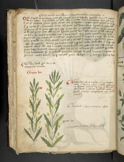 Lägg till MS 41623 f.39v 