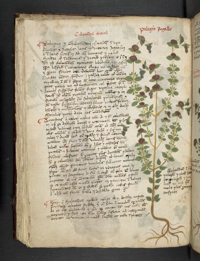 Lägg till MS 41623 f.54v 