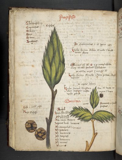 Lägg till MS 41623 f.62v 